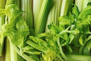 celery