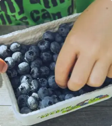 person eating blueberries for digestive health