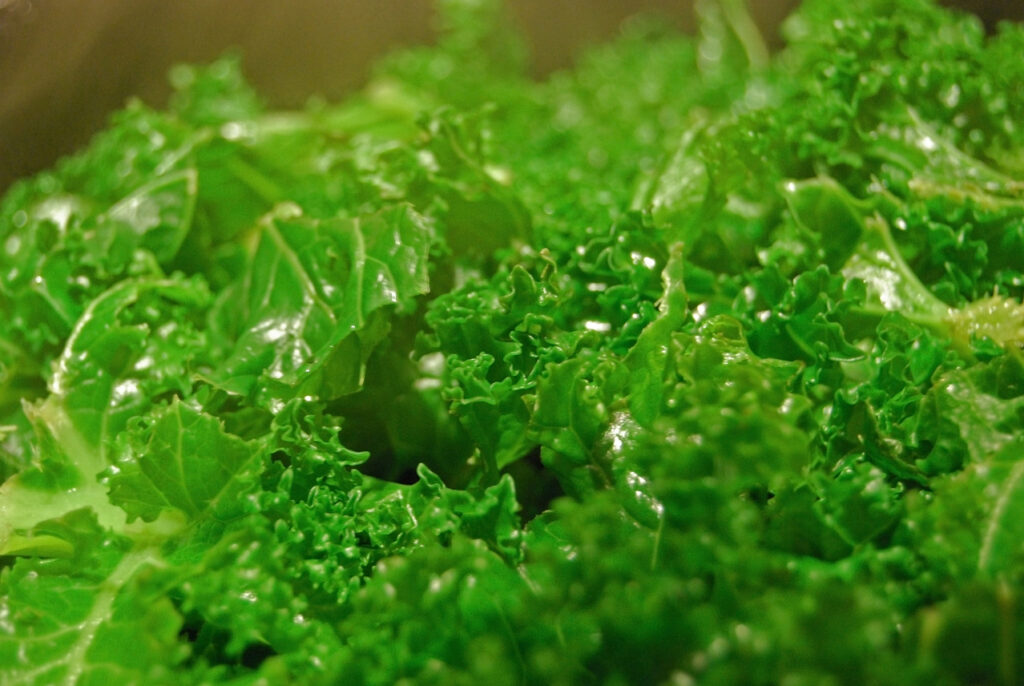 kale leafy greens