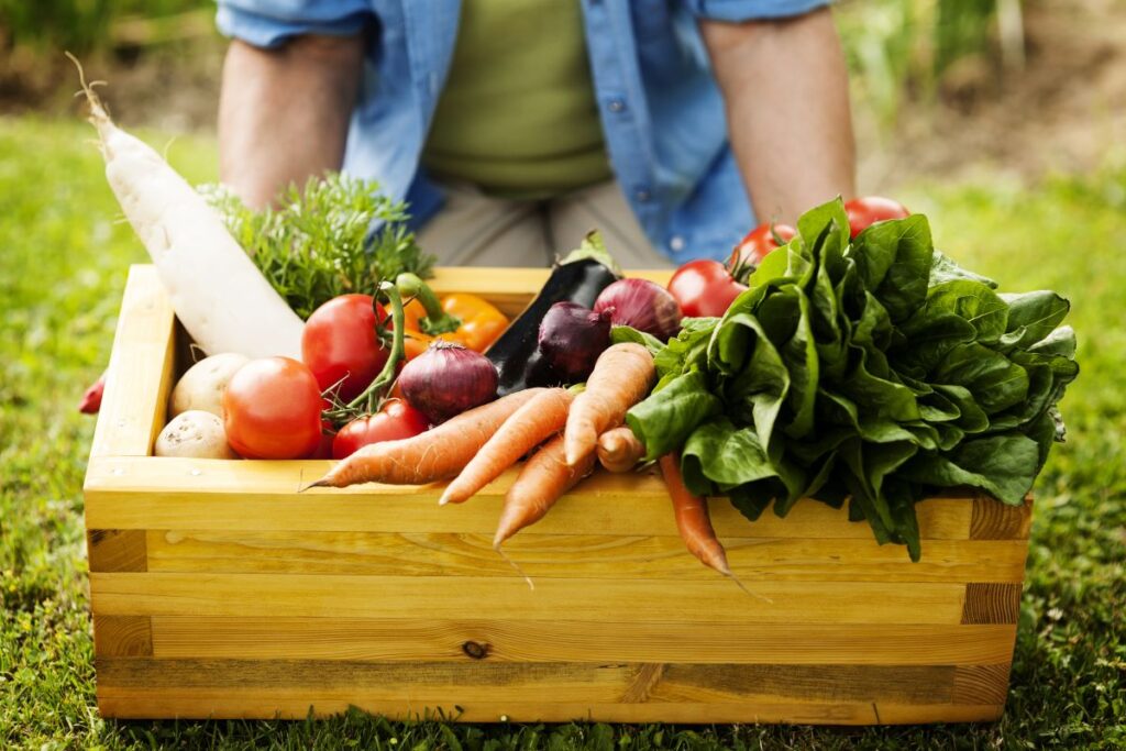 gardener holding box with many vegetables