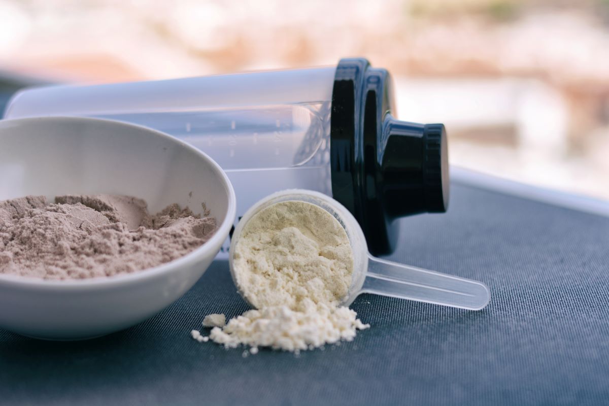 Which Protein Powder is Right For You?