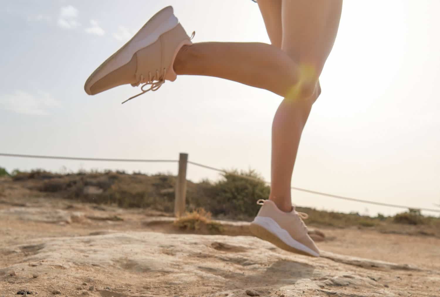 Training Your Gut: The Missing Piece of Endurance Performance